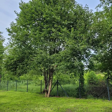 Na Mazurach Zacisze Sasek Linowo (Szczytno)